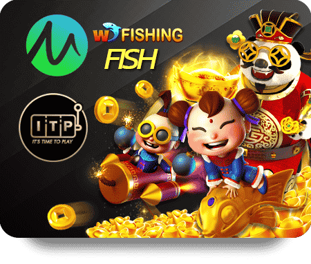 Phân Tích Thị Trường VF555 Chính Thức 247 Hiện Nay